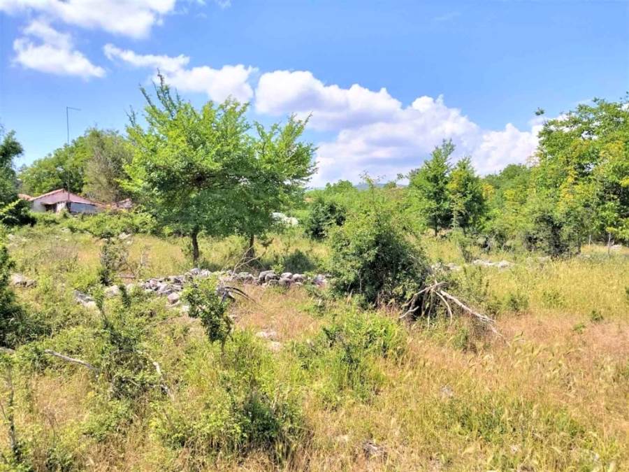 (For Sale) Land Plot || Kavala/Oreino - 798 Sq.m, 12.000€ 