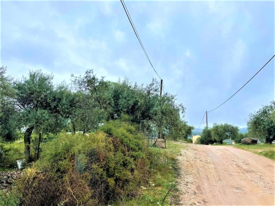 (Προς Πώληση) Αξιοποιήσιμη Γη Οικόπεδο || Ν. Καβάλας/Θάσος - 1.700 τ.μ, 68.000€ 