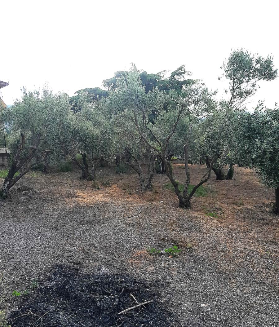 (Προς Πώληση) Αξιοποιήσιμη Γη Οικόπεδο || Ν. Καβάλας/Φίλιπποι - 937 τ.μ, 35.000€ 