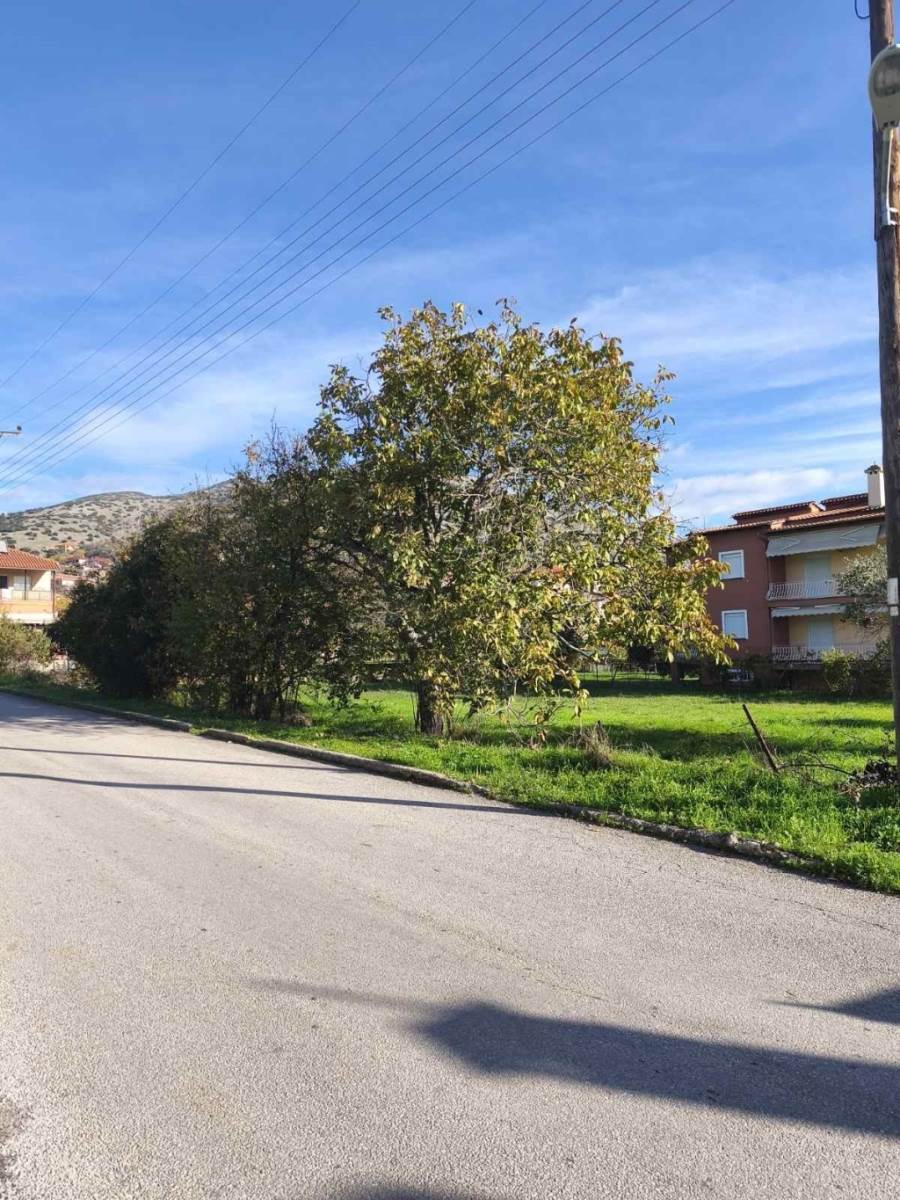(For Sale) Land Plot || Kavala/Filippoi - 587 Sq.m, 28.000€ 