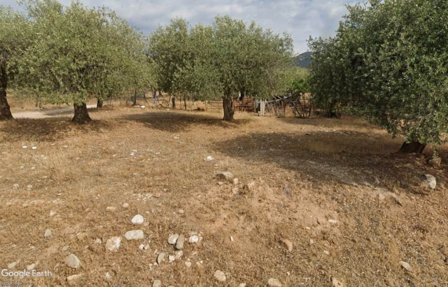 (Προς Πώληση) Αξιοποιήσιμη Γη Αγροτεμάχιο || Ν. Καβάλας/Θάσος - 1.616 τ.μ, 19.000€ 